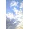 [D:F8DA][D:F8EE]苺Ⅰ栄[D:F8EE][D:F8DA]